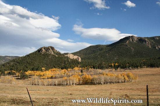 Click Picture to send as an  E-PostCard 57k 550x367